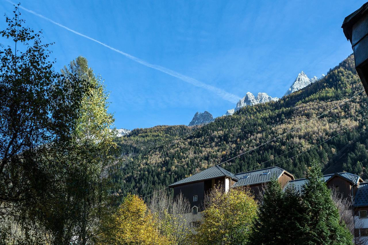 Apartment Chamois Blanc 1 - Central Chamonix Haven Ngoại thất bức ảnh